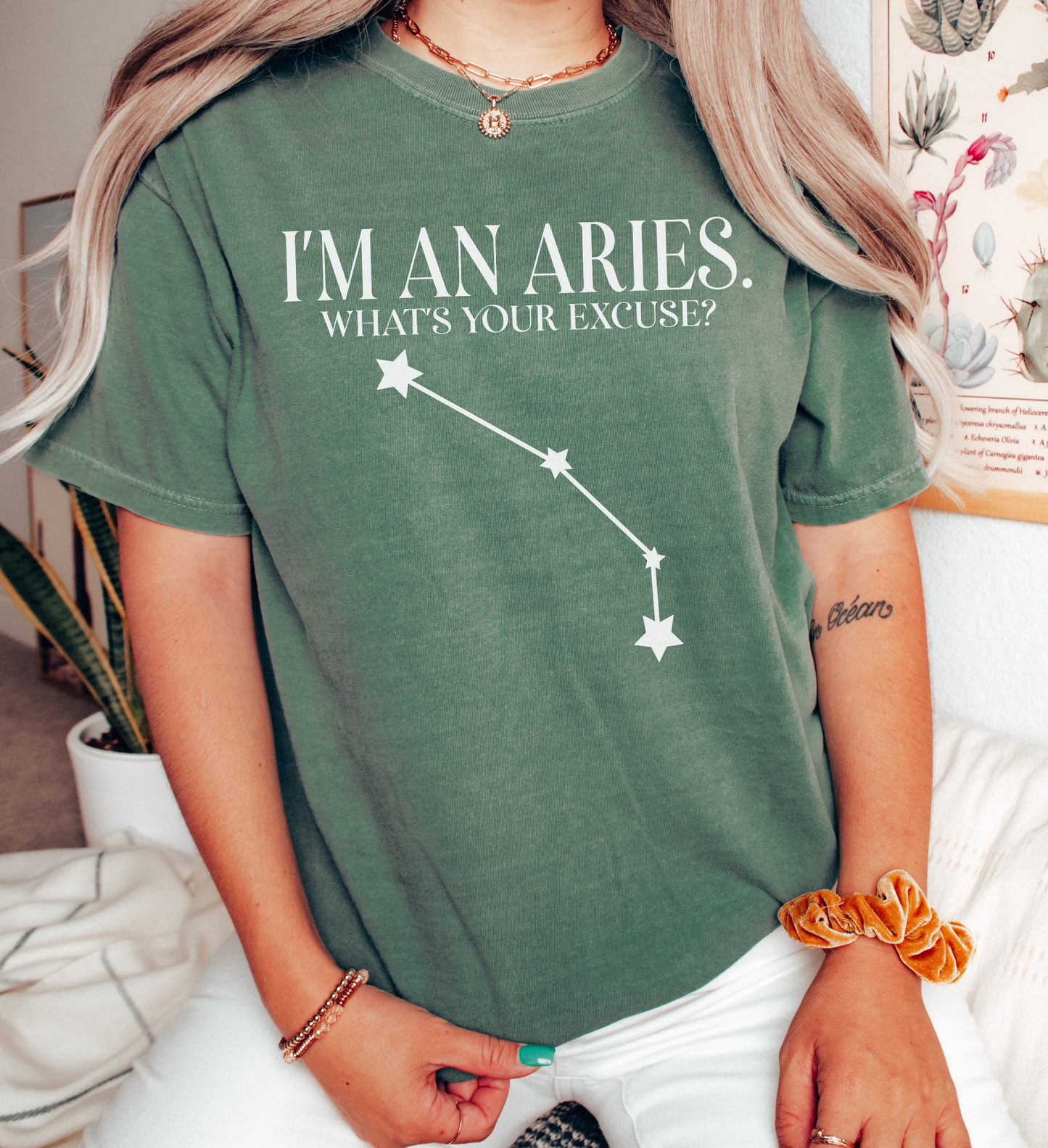 I'm An Aries. What's Your Excuse? Shirt | Unisex Tee