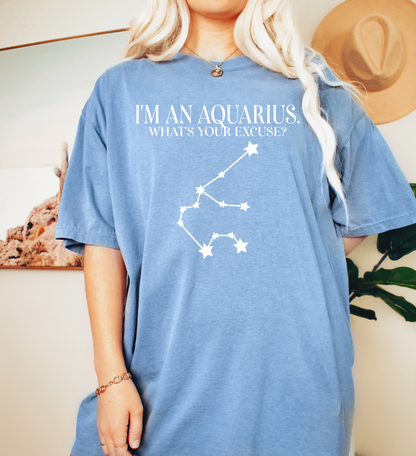 I'm An Aquarius. What's Your Excuse? Shirt | Unisex Tee