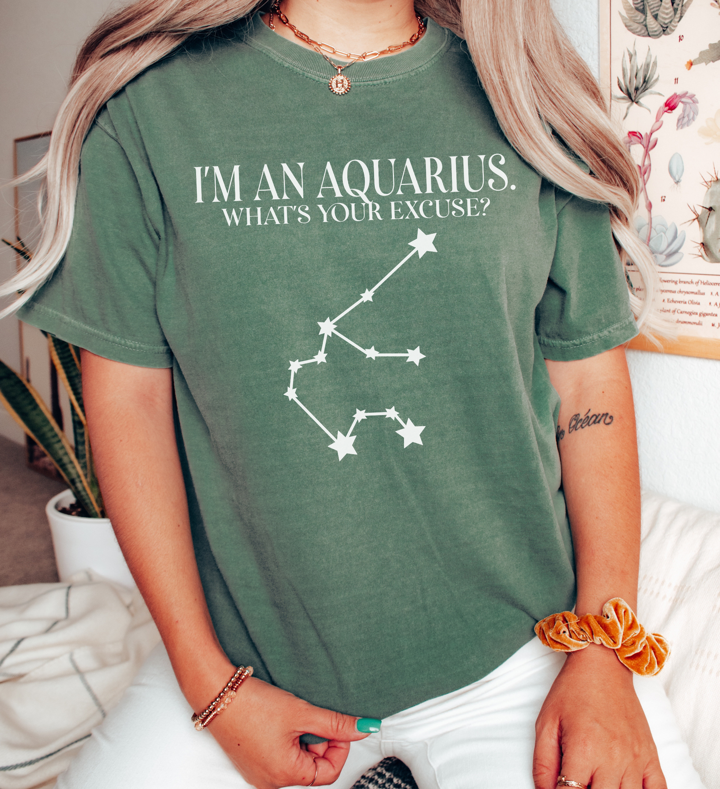 I'm An Aquarius. What's Your Excuse? Shirt | Unisex Tee