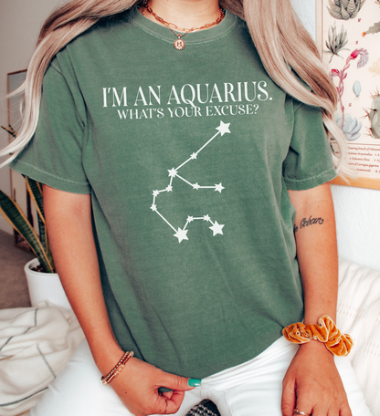 I'm An Aquarius. What's Your Excuse? Shirt | Unisex Tee
