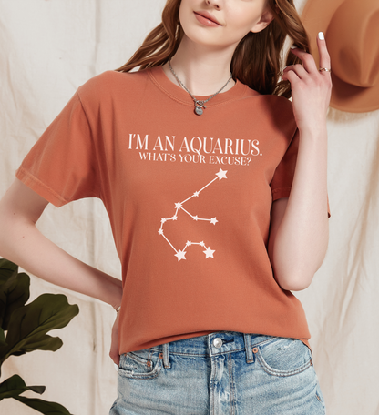 I'm An Aquarius. What's Your Excuse? Shirt | Unisex Tee
